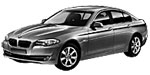 BMW F10 P235E Fault Code